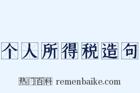 个人所得税造句是什么意思的图片
